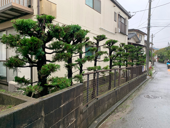 アパートの庭清掃1 アフター